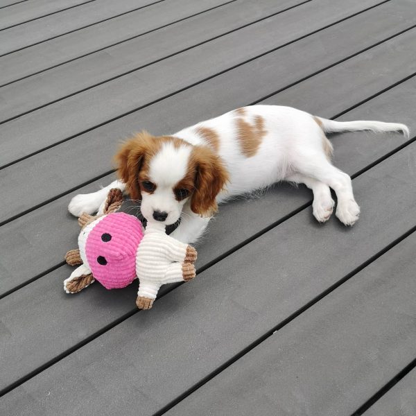 PIXEL